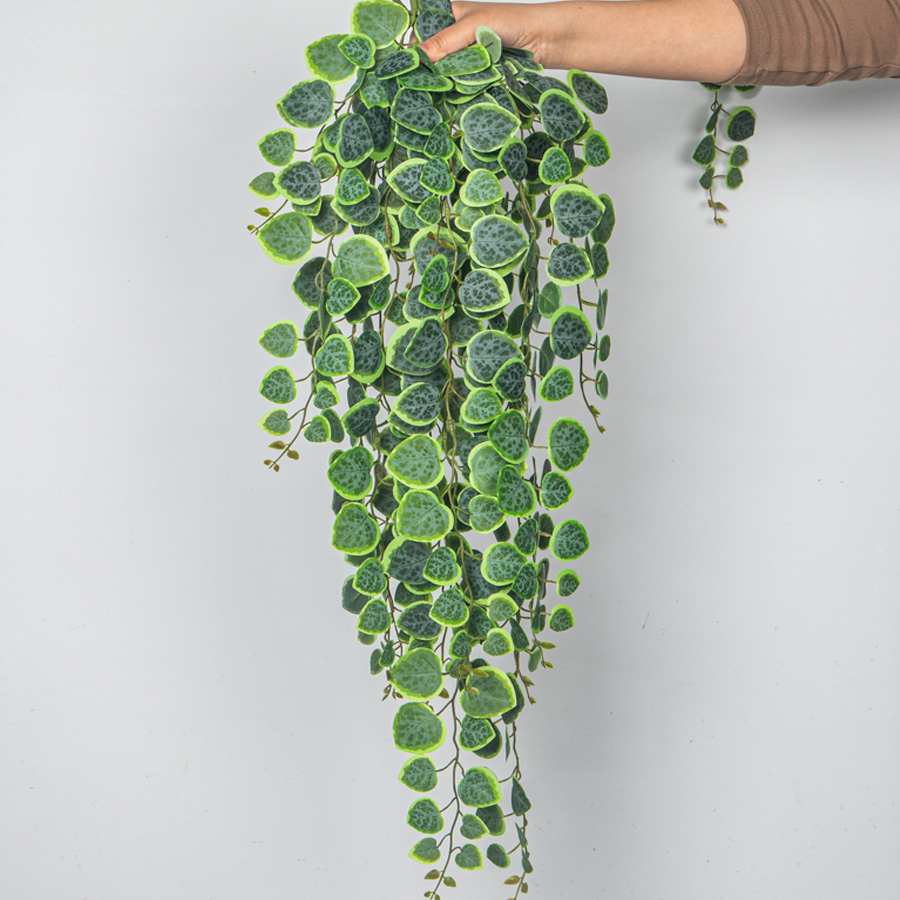 Pilea Peperomioides - 60-80cm Artificial Hanging Vines Tropical Eucalyptus