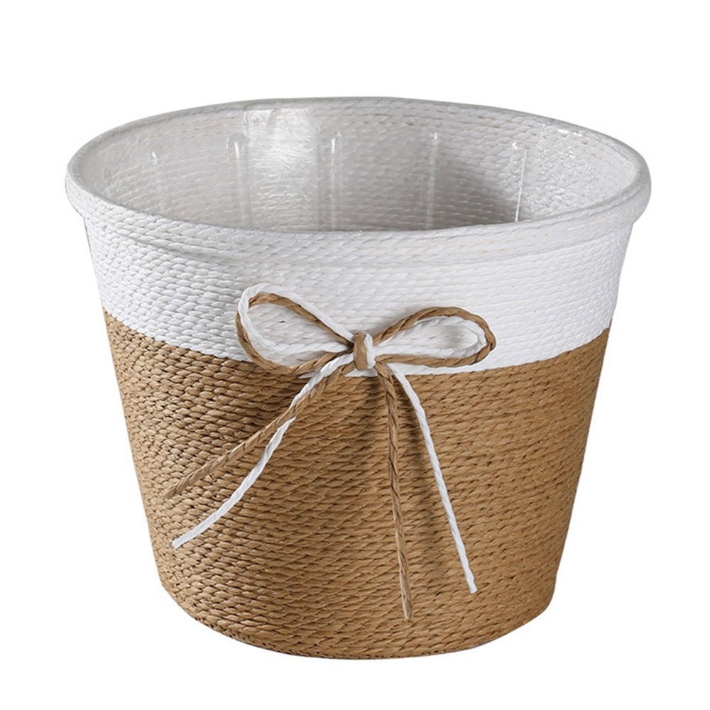 Pilea Peperomioides - Paper Rope Braided Braided Flower Pot