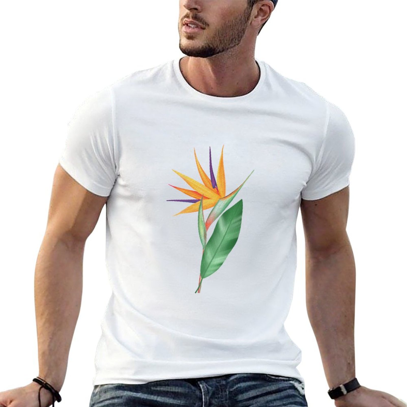 Bird Paradise Strelitzia - Watercolor bird of paradise flower or
