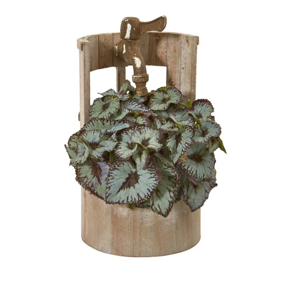 12in. Rex Begonia Artificial P – Begonia Rex Bewertung und Preis