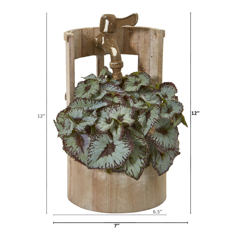 12in. Rex Begonia Artificial P – Begonia Rex Bewertung und Preis