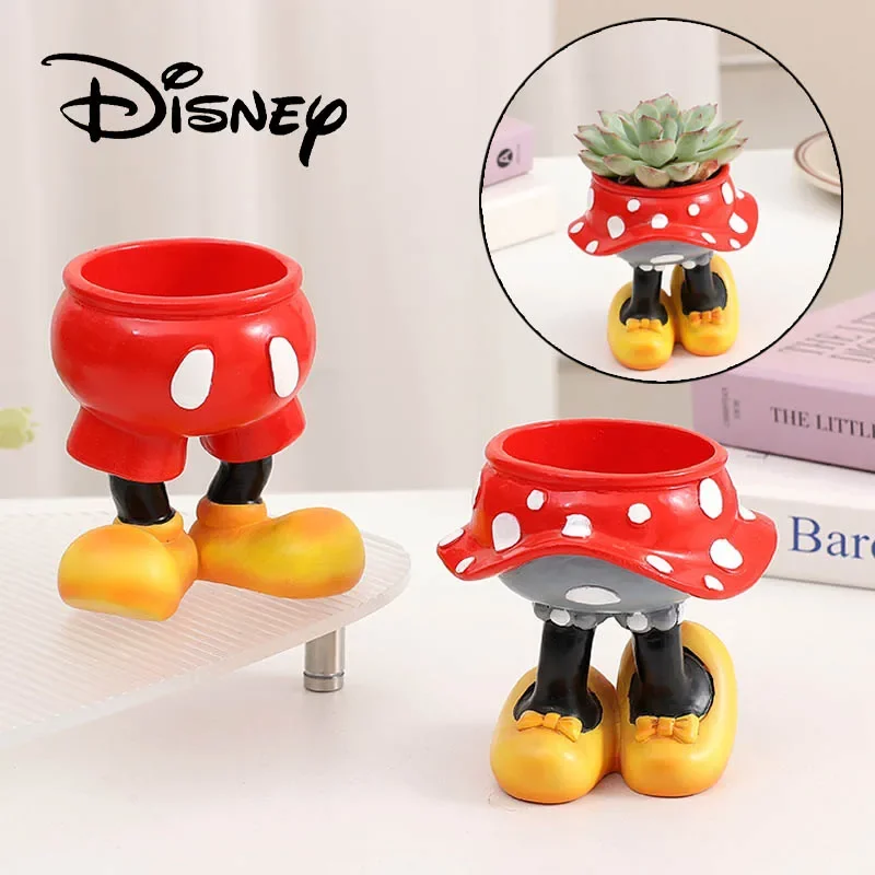 Disney Mickey Minnie Flower Po – Echeveria Succulent Bewertung und Preis