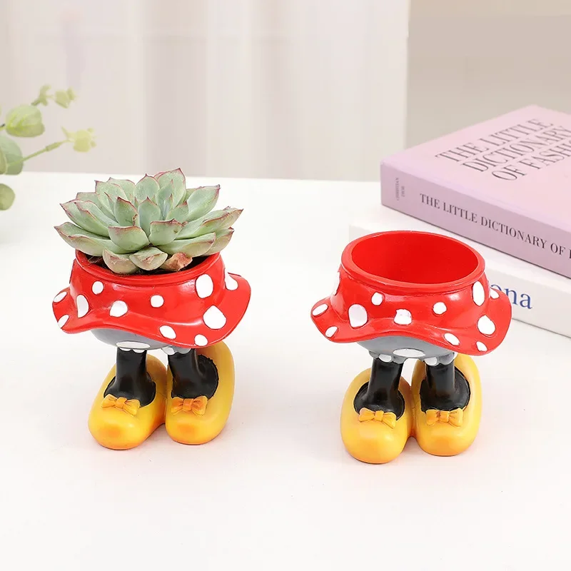 Disney Mickey Minnie Flower Po – Echeveria Succulent Bewertung und Preis