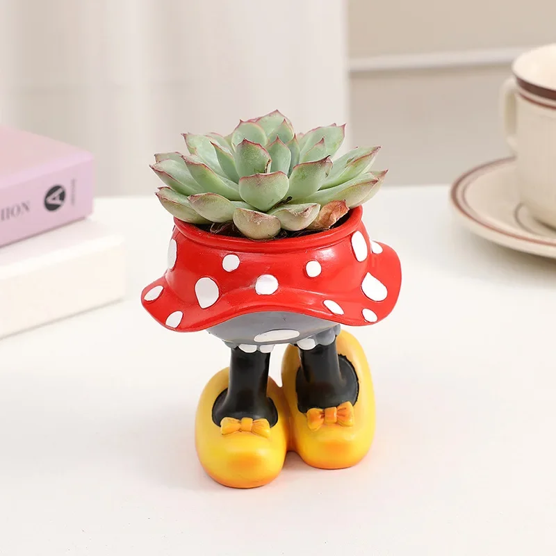 Disney Mickey Minnie Flower Po – Echeveria Succulent Bewertung und Preis