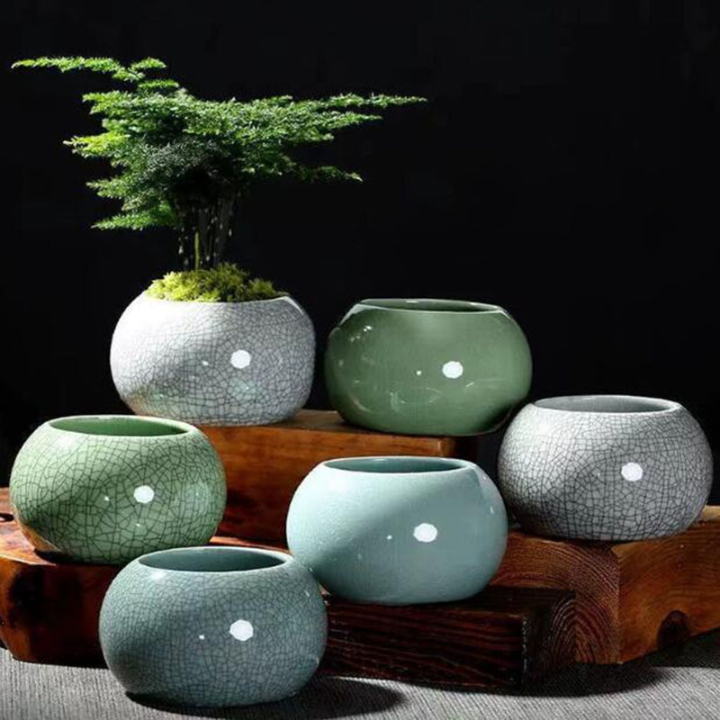 Creative Handmade Geyao Ice Cr – Pilea Peperomioides Bewertung und Preis