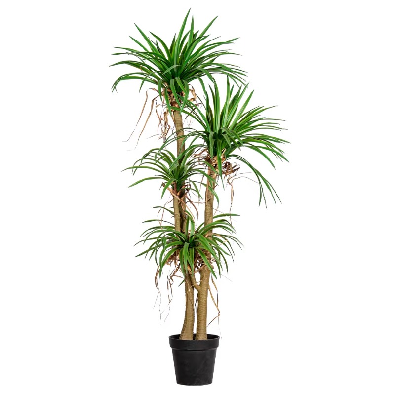 Indoor/Outdoor Home Tree Simul – Dracaena Marginata Bewertung und Preis