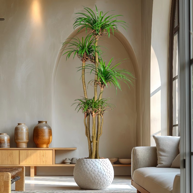 Indoor/Outdoor Home Tree Simul – Dracaena Marginata Bewertung und Preis