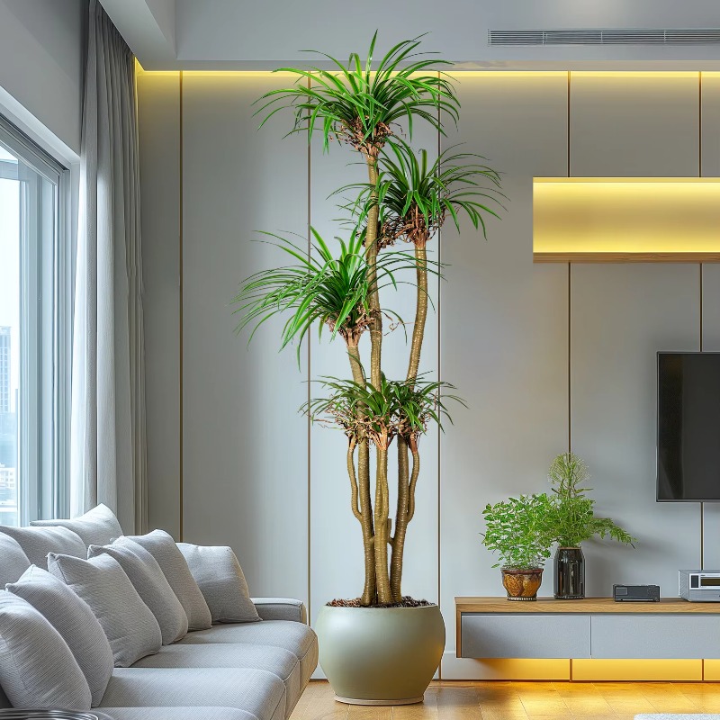 Indoor/Outdoor Home Tree Simul – Dracaena Marginata Bewertung und Preis