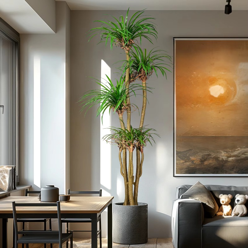 Indoor/Outdoor Home Tree Simul – Dracaena Marginata Bewertung und Preis