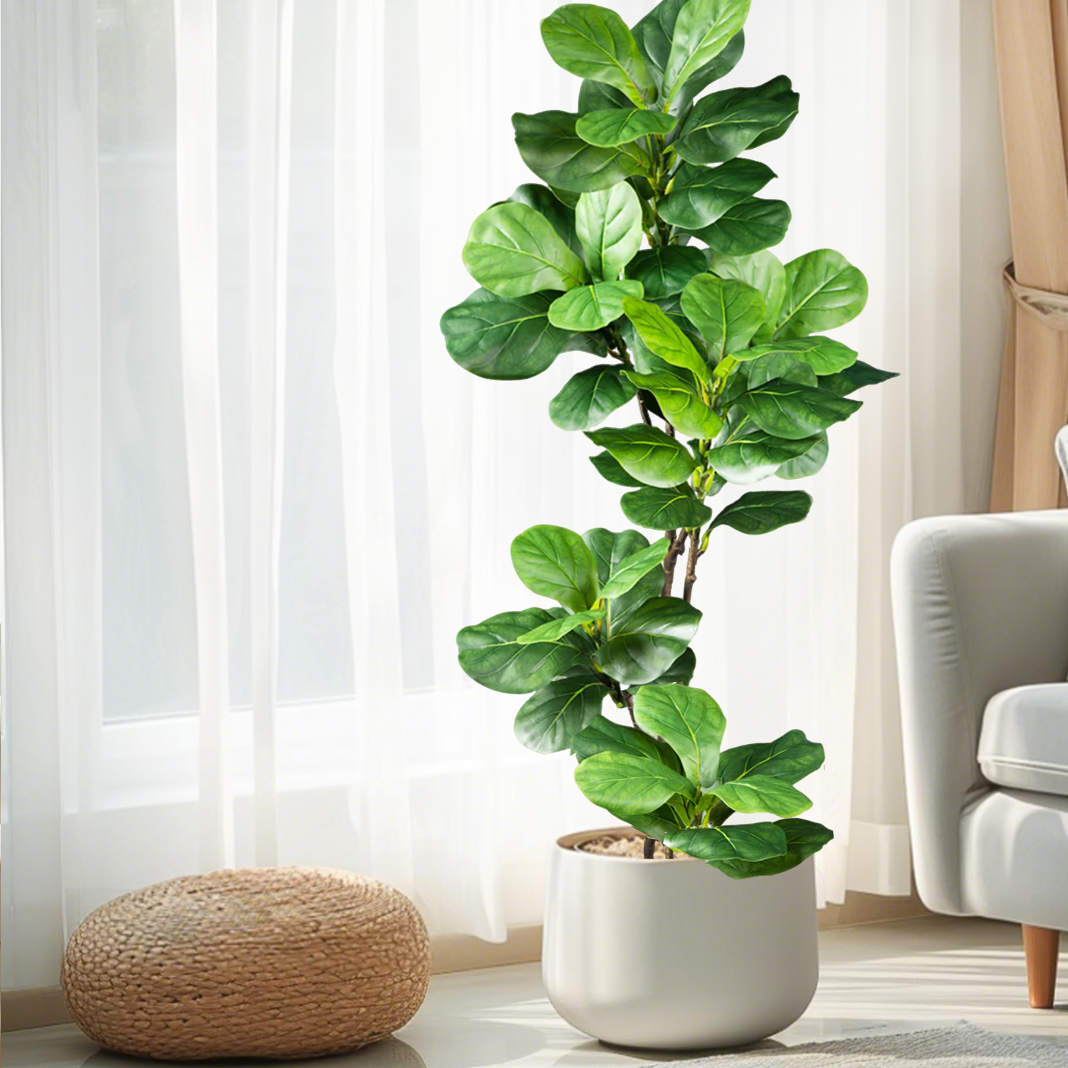 45-135cm  Artificial Fiddle Le – Ficus Lyrata Tree Bewertung und Preis