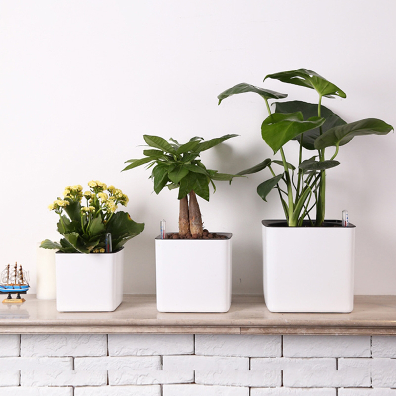 Automatic Self Watering Flower – Aloe Vera Pot Bewertung und Preis