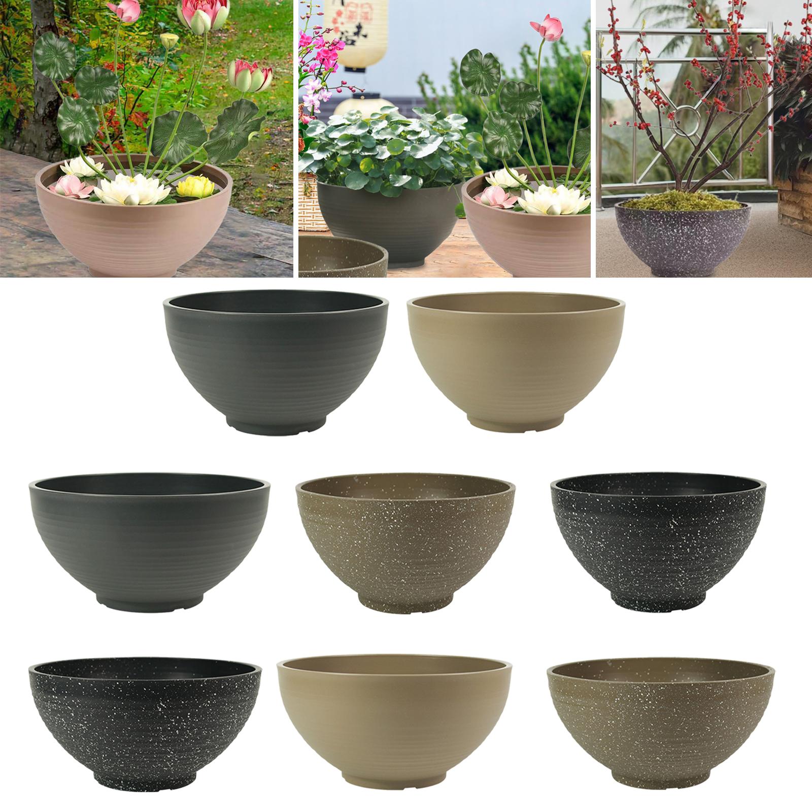 Garden Large-capacity Bowl Pla – Aloe Vera Pot Bewertung und Preis