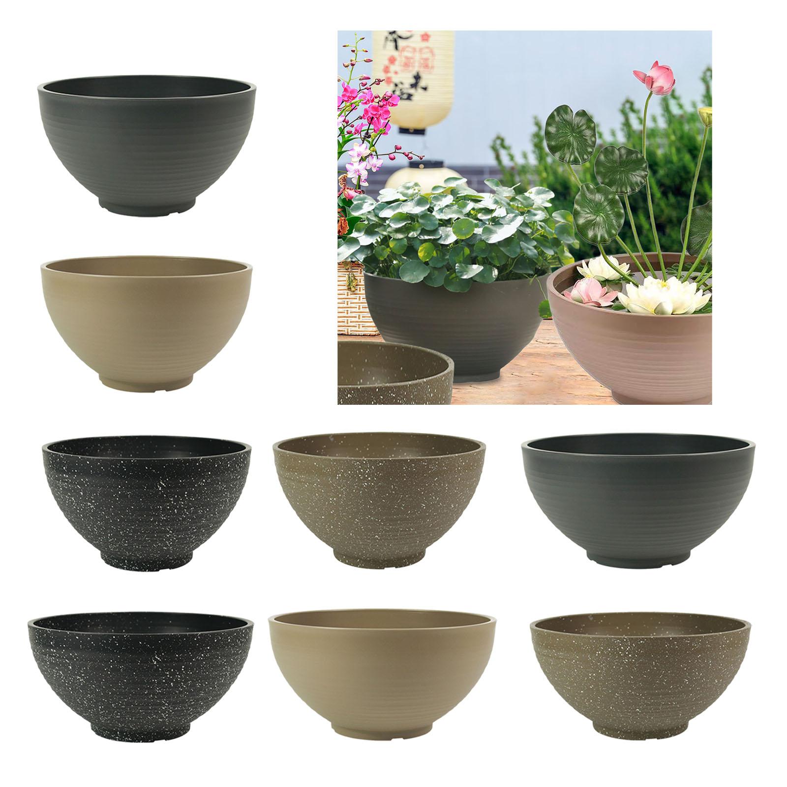 Garden Large-capacity Bowl Pla – Aloe Vera Pot Bewertung und Preis
