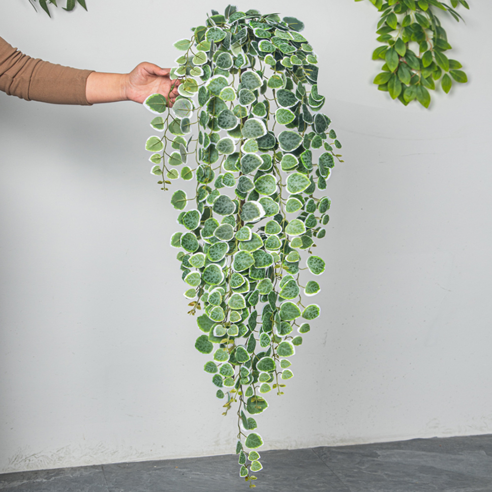 60-80cm Artificial Hanging Vin – Pilea Peperomioides Bewertung und Preis