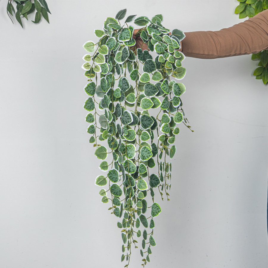 60-80cm Artificial Hanging Vin – Pilea Peperomioides Bewertung und Preis