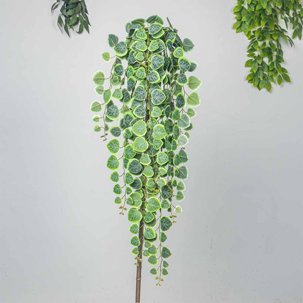 60-80cm Artificial Hanging Vin – Pilea Peperomioides Bewertung und Preis