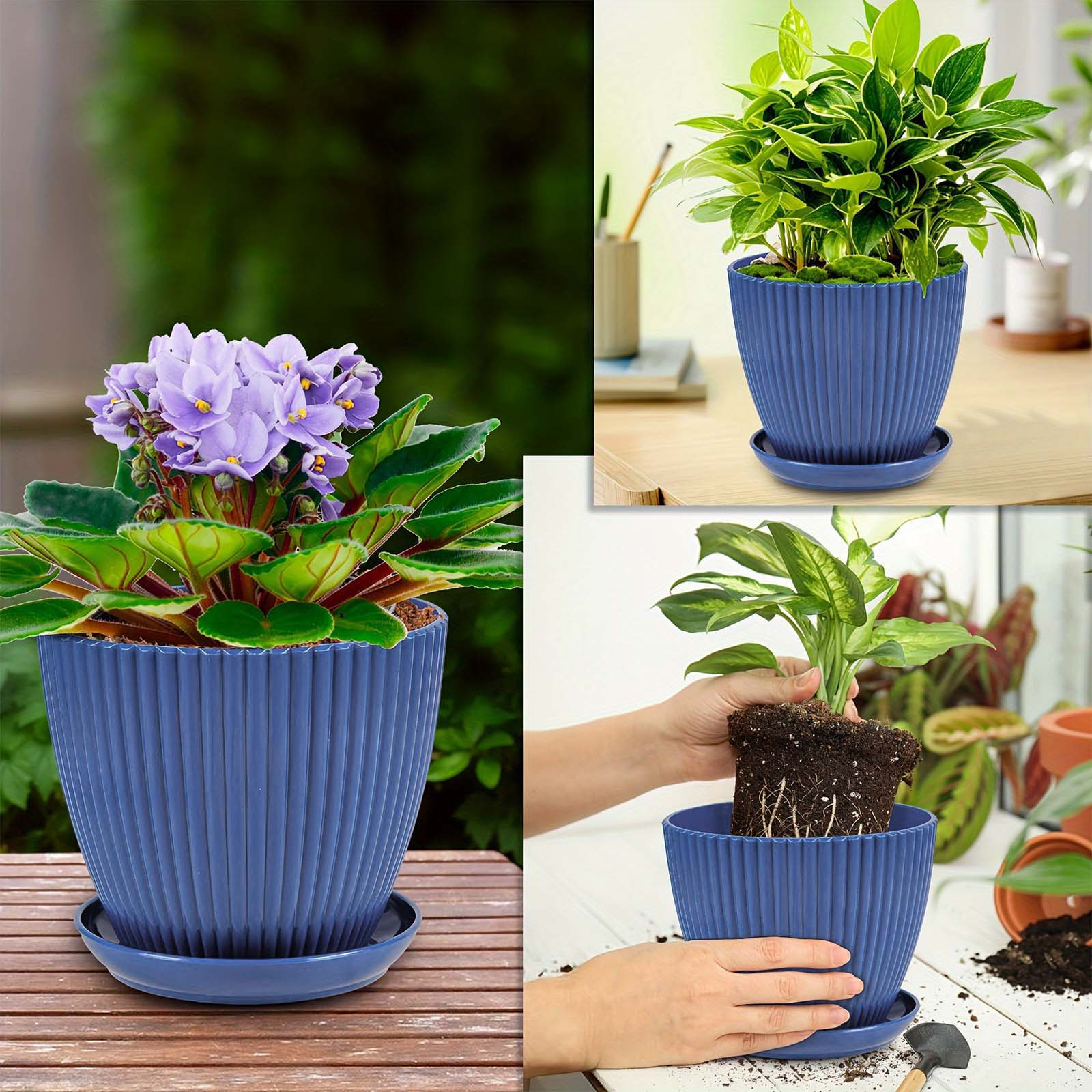 Vertical Striped Thickened Pla – Aloe Vera Pot Bewertung und Preis