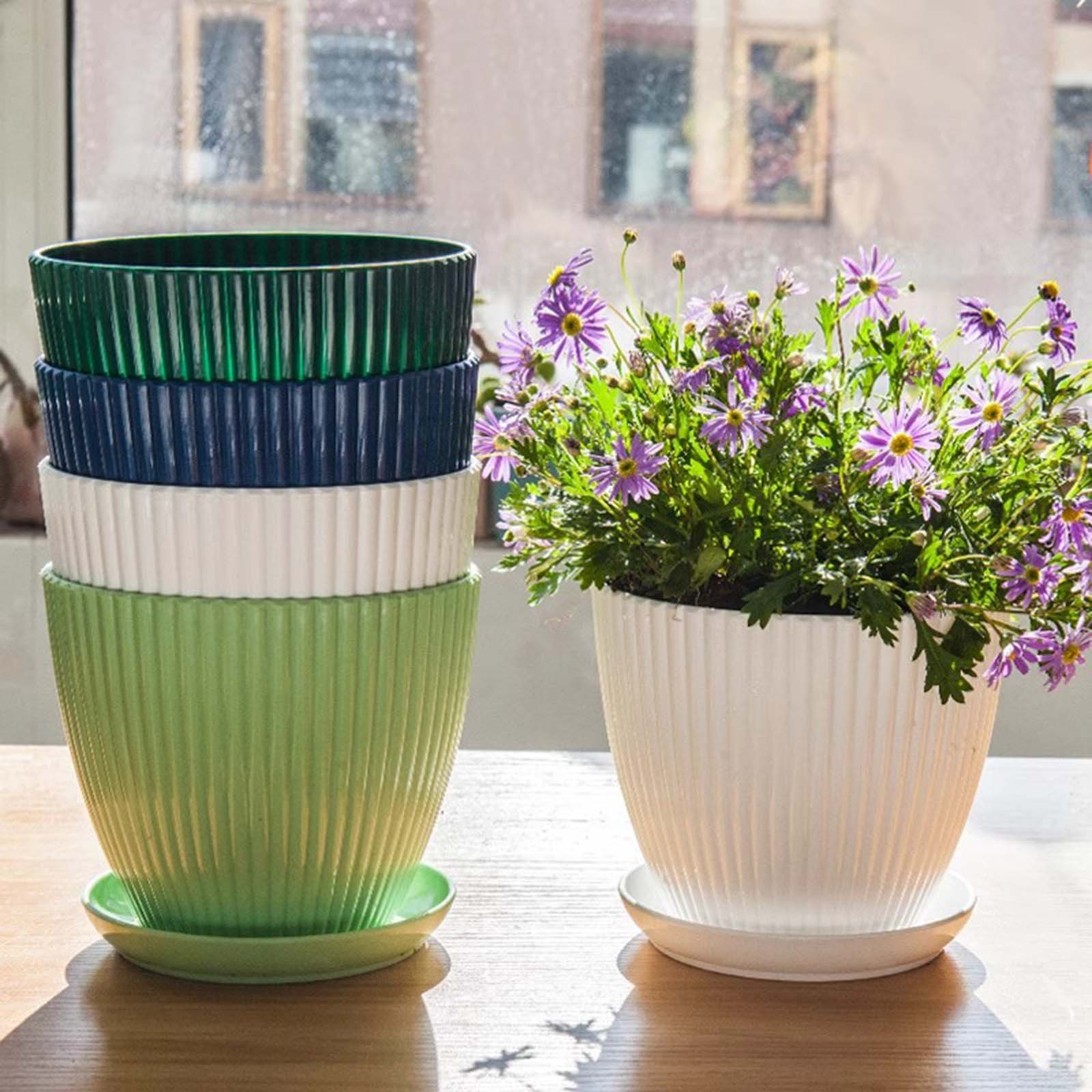 Vertical Striped Thickened Pla – Aloe Vera Pot Bewertung und Preis