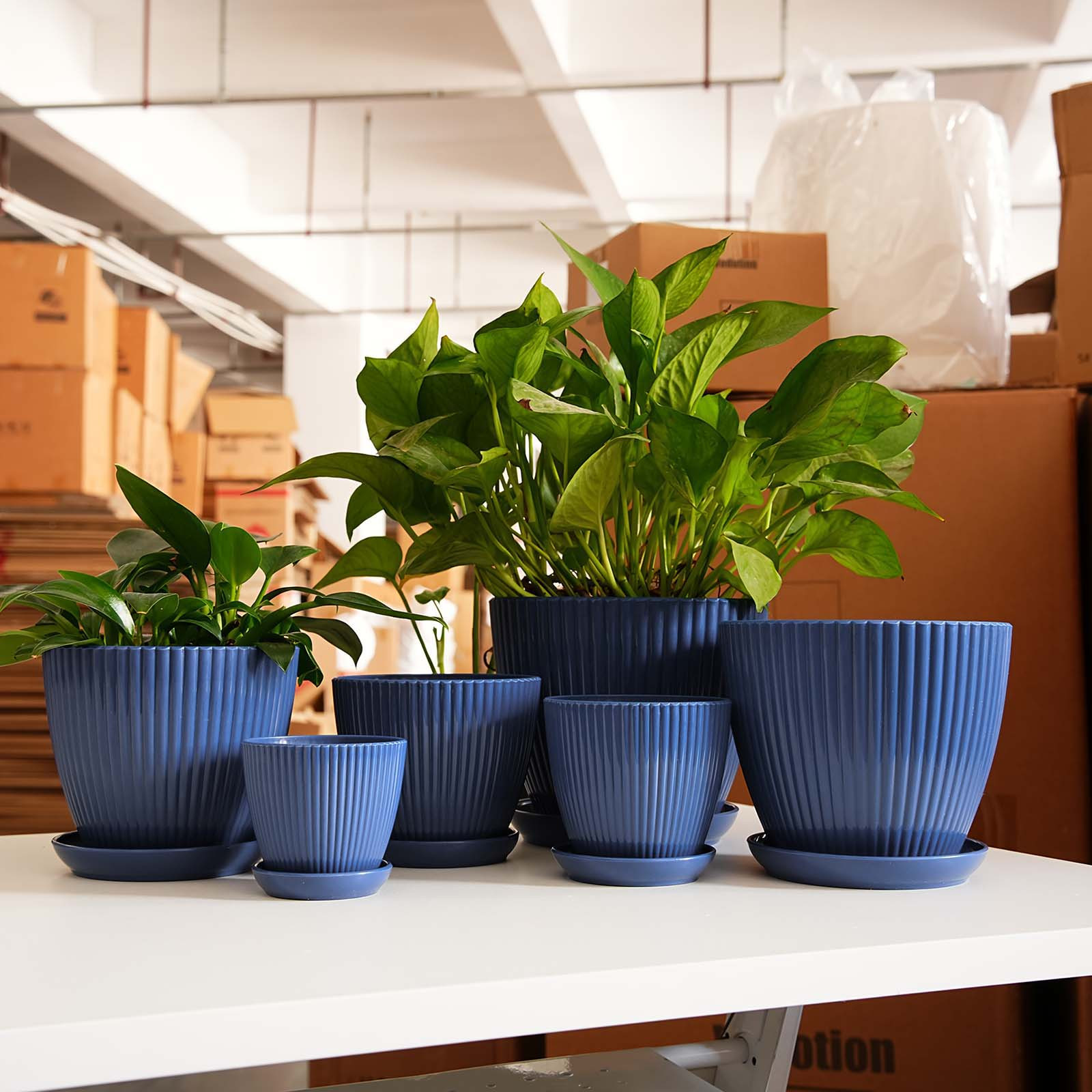 Vertical Striped Thickened Pla – Aloe Vera Pot Bewertung und Preis