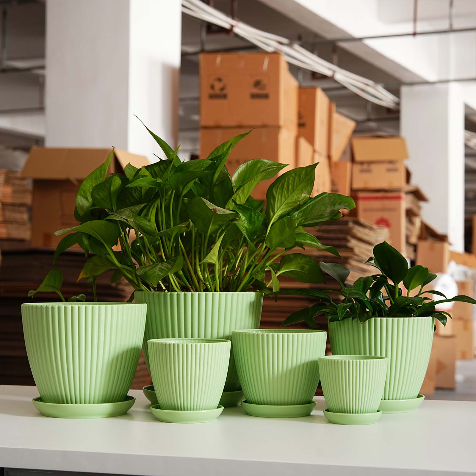 Vertical Striped Thickened Pla – Aloe Vera Pot Bewertung und Preis