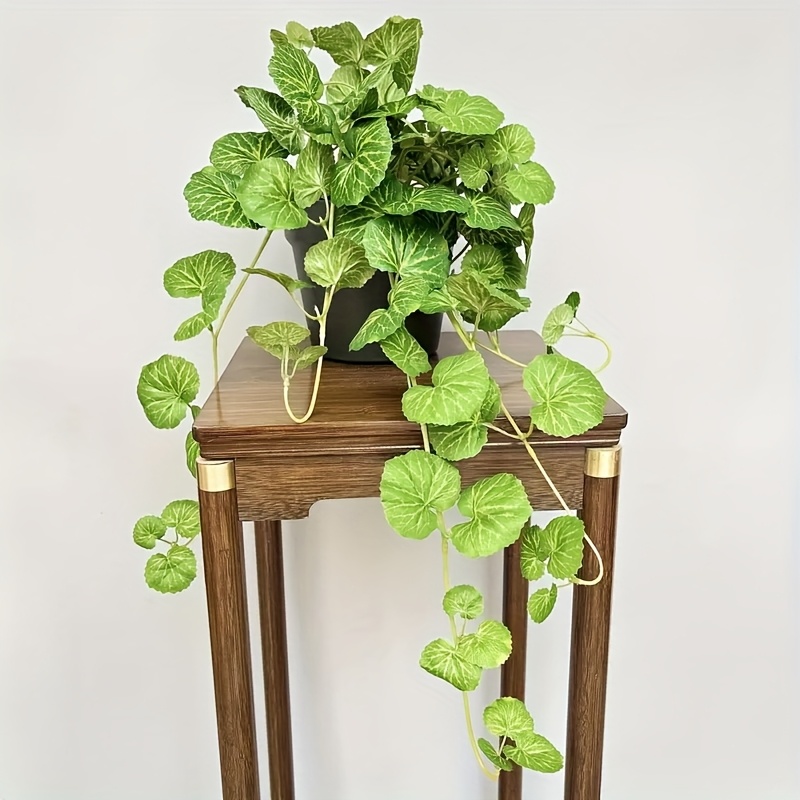 An artificial hanging vine pla – Pilea Peperomioides Bewertung und Preis