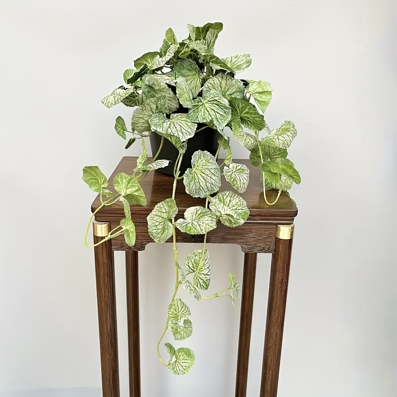 An artificial hanging vine pla – Pilea Peperomioides Bewertung und Preis