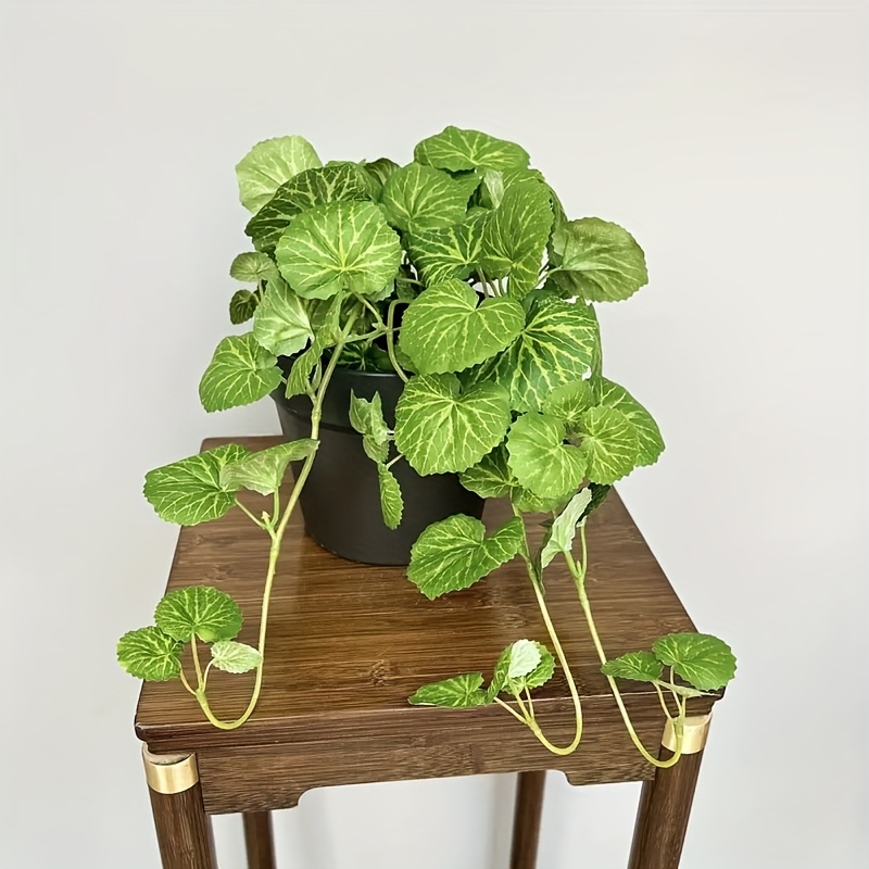 An artificial hanging vine pla – Pilea Peperomioides Bewertung und Preis