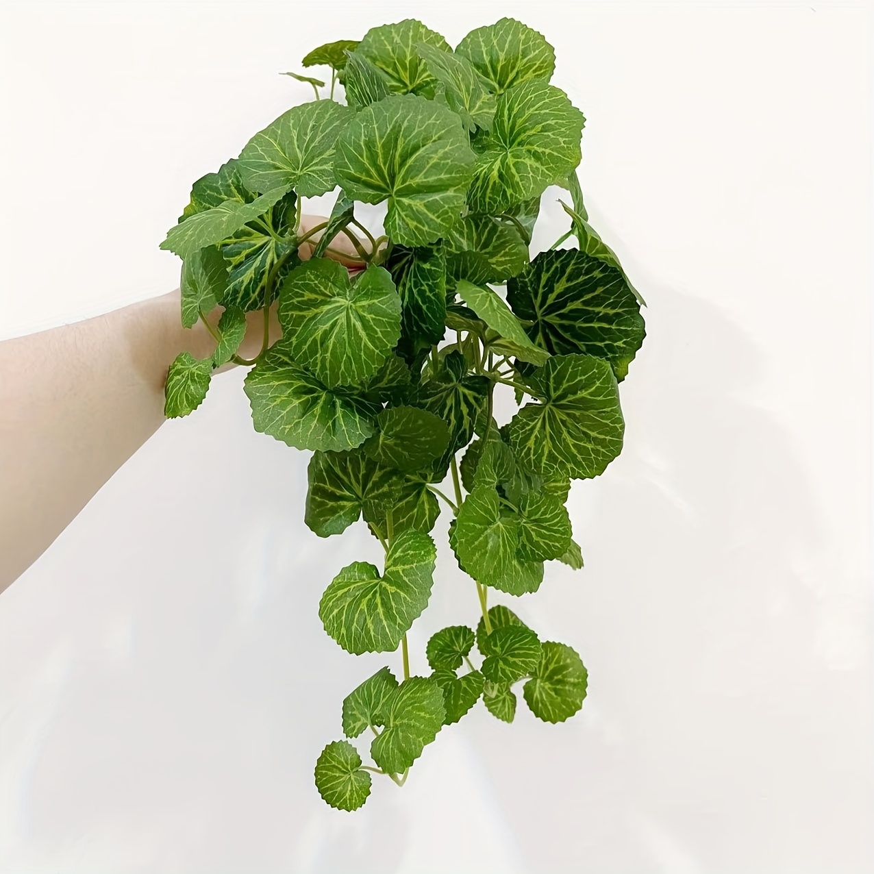 An artificial hanging vine pla – Pilea Peperomioides Bewertung und Preis