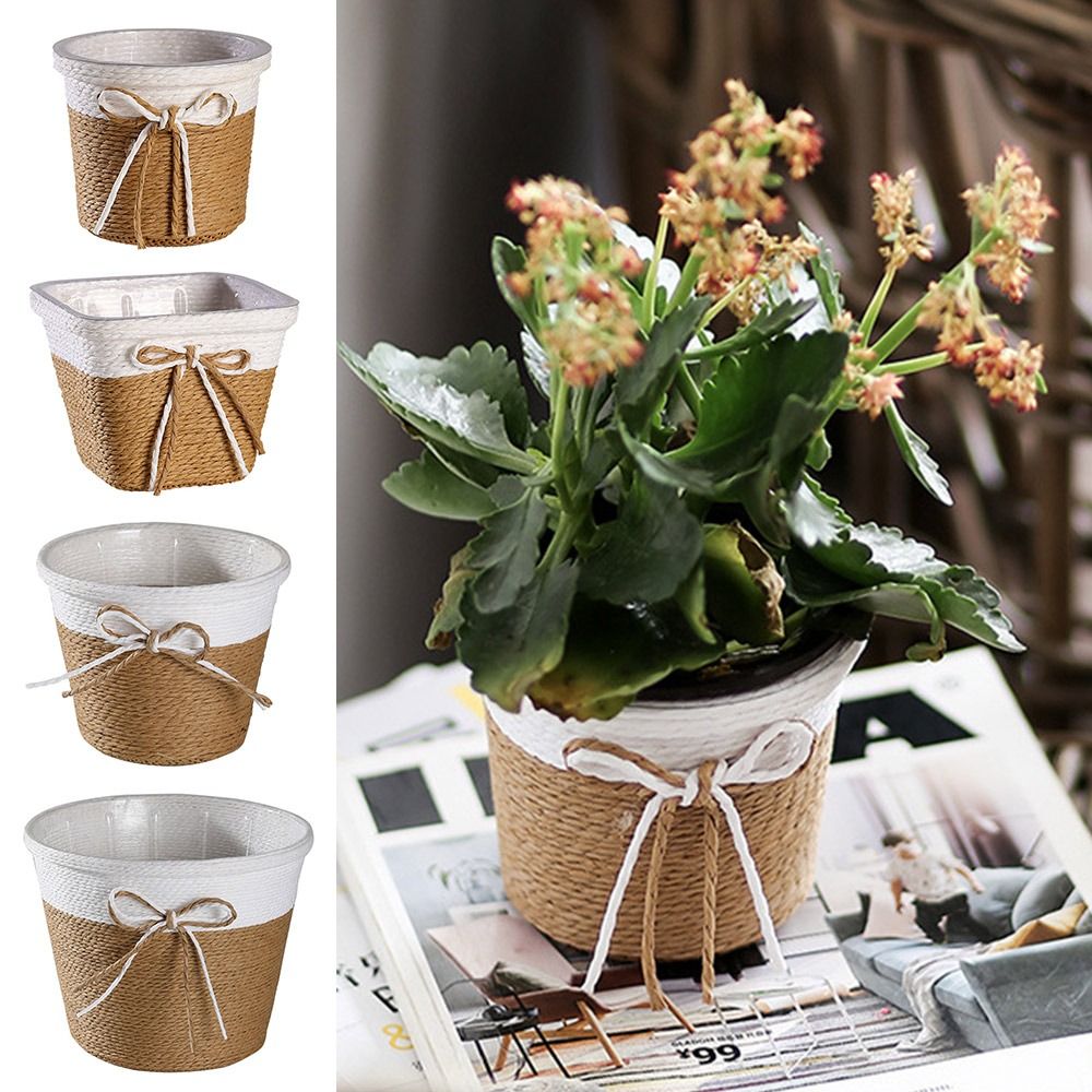 Paper Rope Braided Braided Flo – Pilea Peperomioides Bewertung und Preis