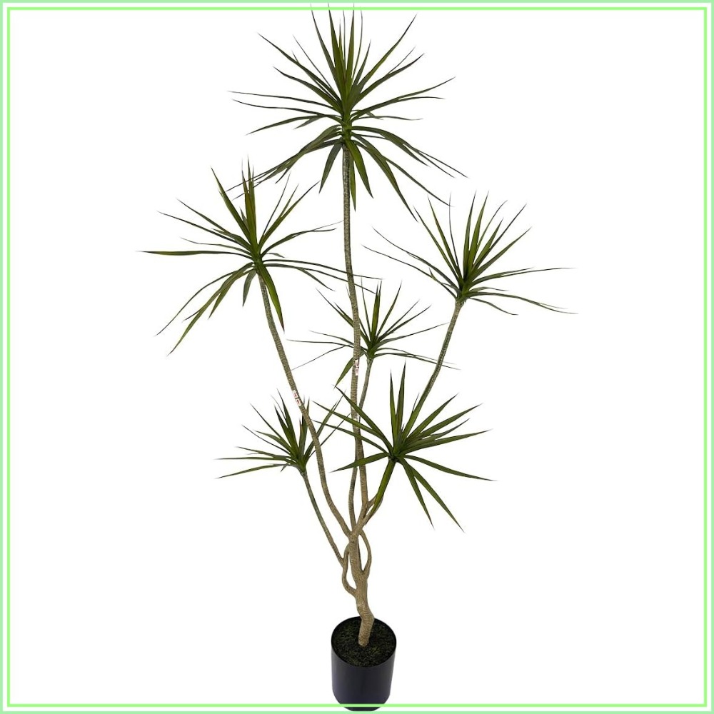 6ft Tall Artificial Dracaena M – Dracaena Marginata Bewertung und Preis