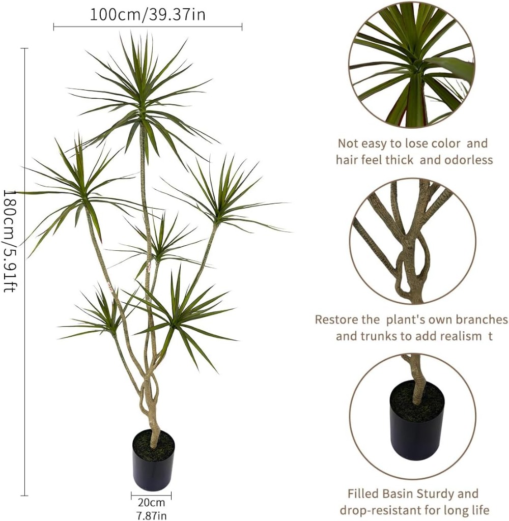 6ft Tall Artificial Dracaena M – Dracaena Marginata Bewertung und Preis