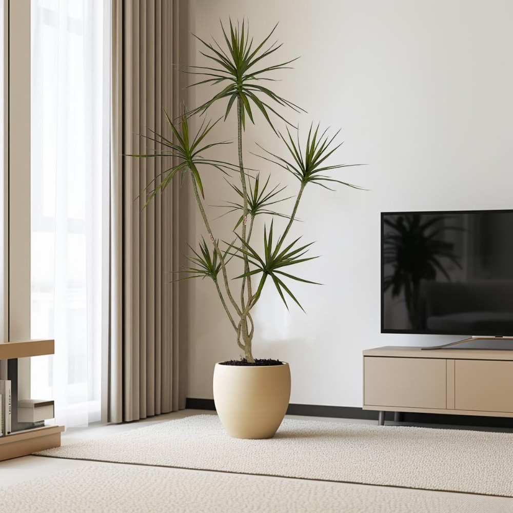 6ft Tall Artificial Dracaena M – Dracaena Marginata Bewertung und Preis