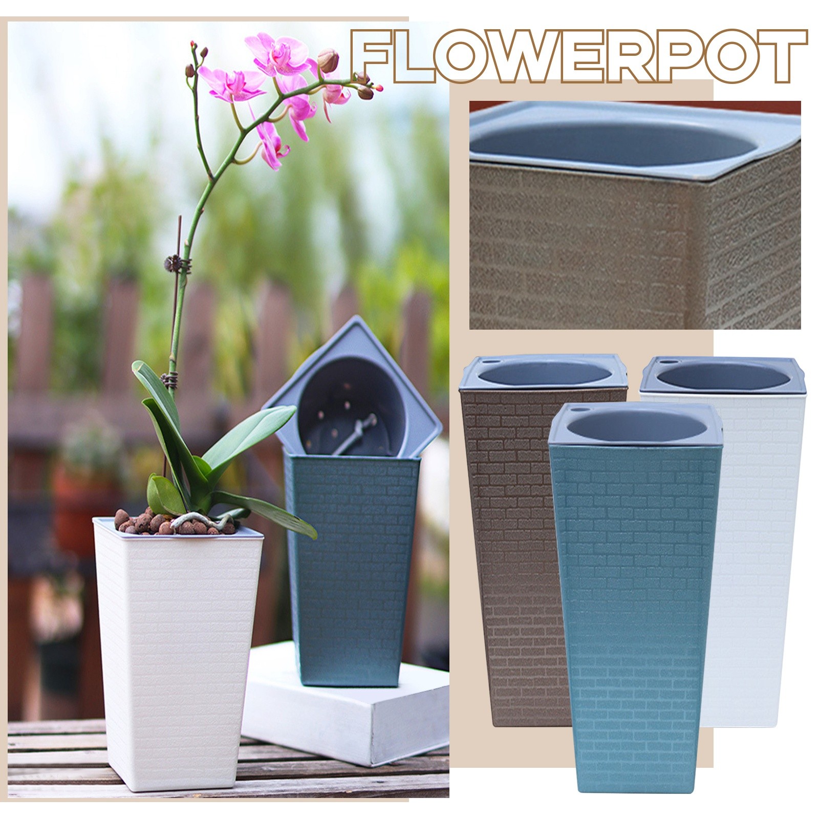 Bonsai-pattern Square Flowerpo – Pilea Peperomioides Bewertung und Preis