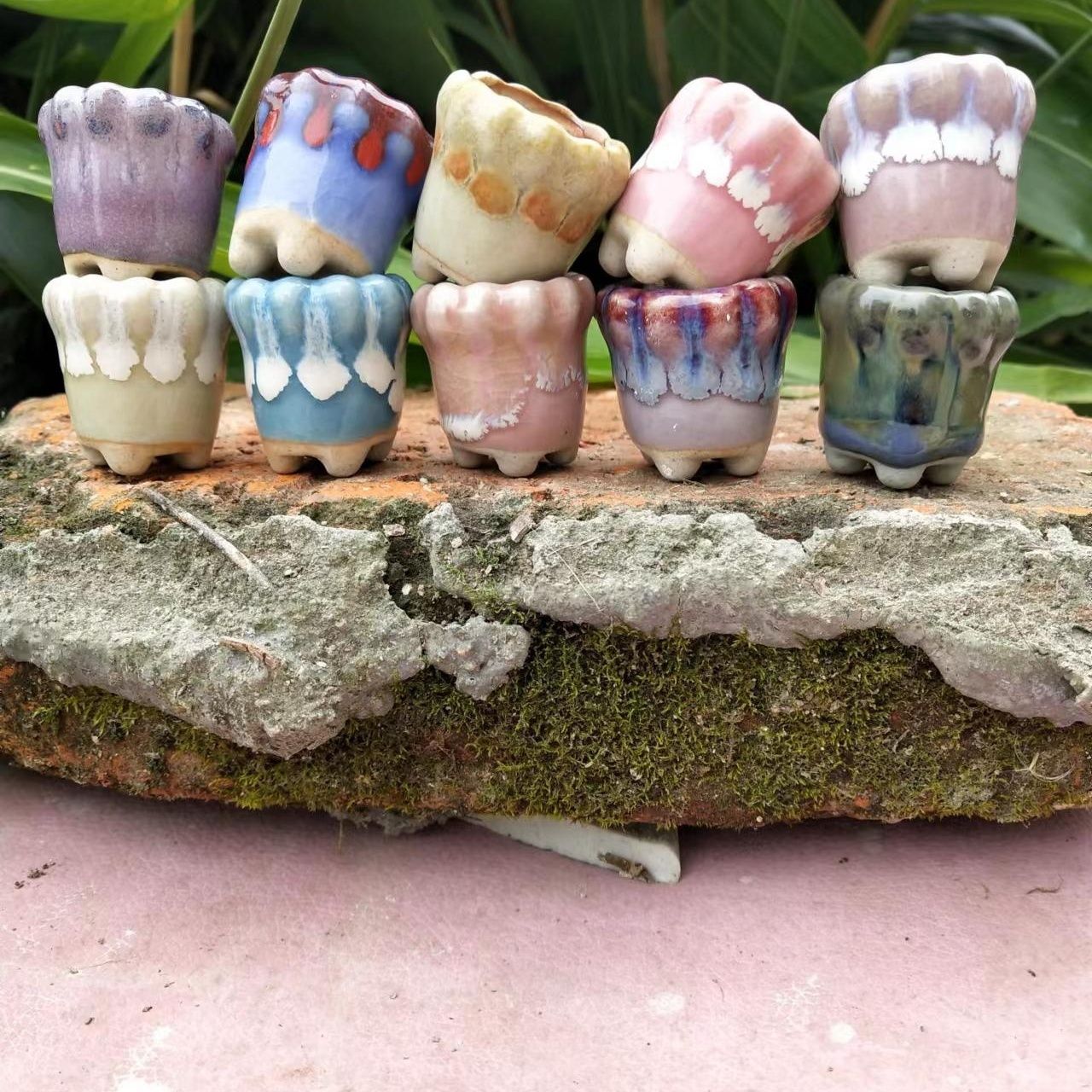 10Pcs Mini Ceramics Fowerpot M – Echeveria Succulent Bewertung und Preis