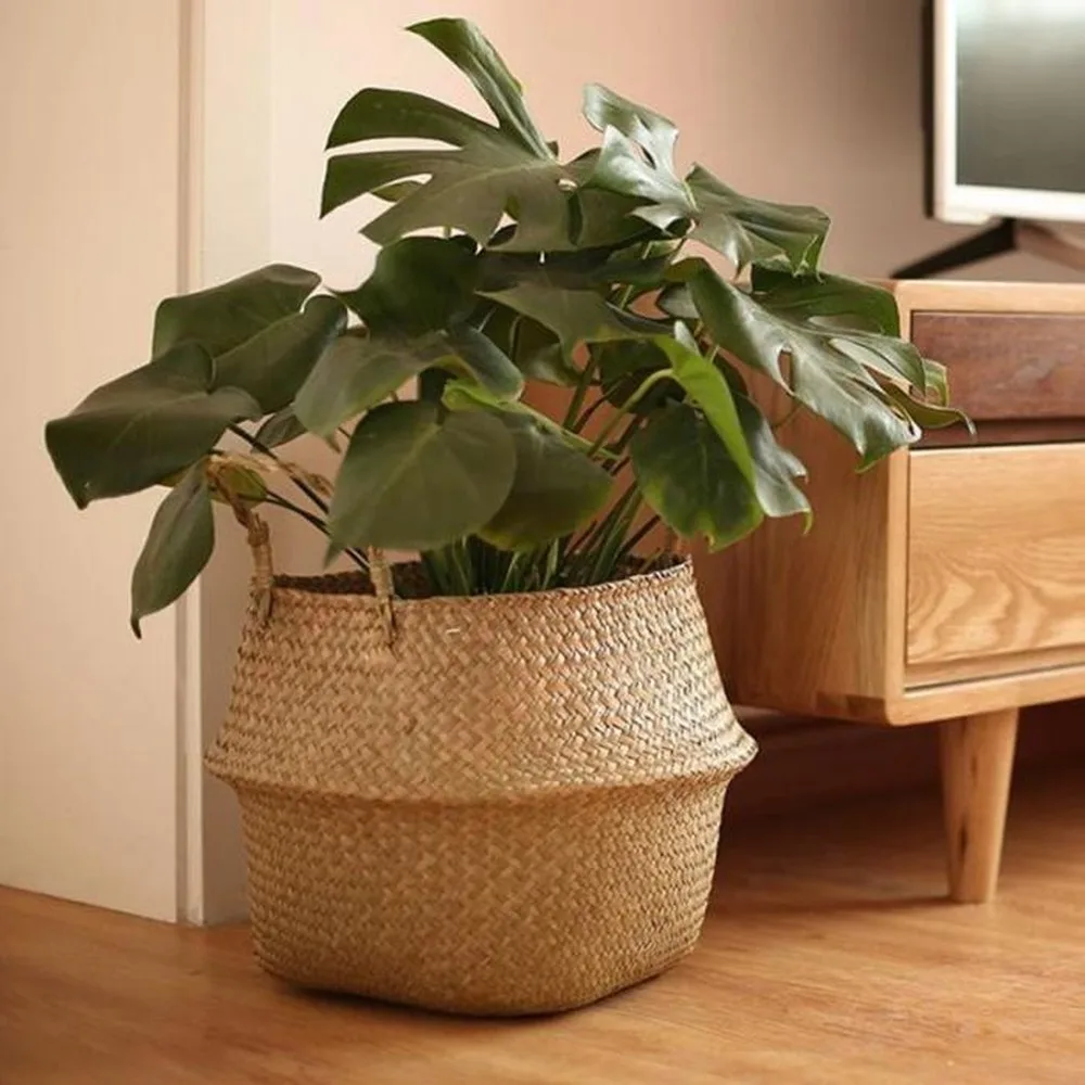 Large Seagrass Wickerwork Bask – Aloe Vera Pot Bewertung und Preis