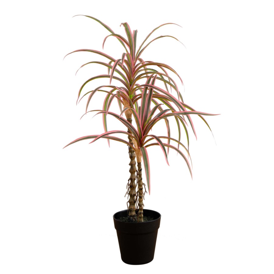 Dracaena Marginata Artificial  – Dracaena Marginata Bewertung und Preis