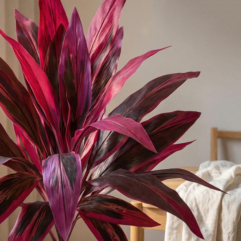 Large Artificial Dracaena Marg – Dracaena Marginata Bewertung und Preis