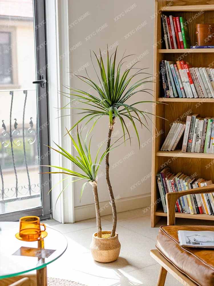 Light Luxury Simulation Green  – Dracaena Marginata Bewertung und Preis