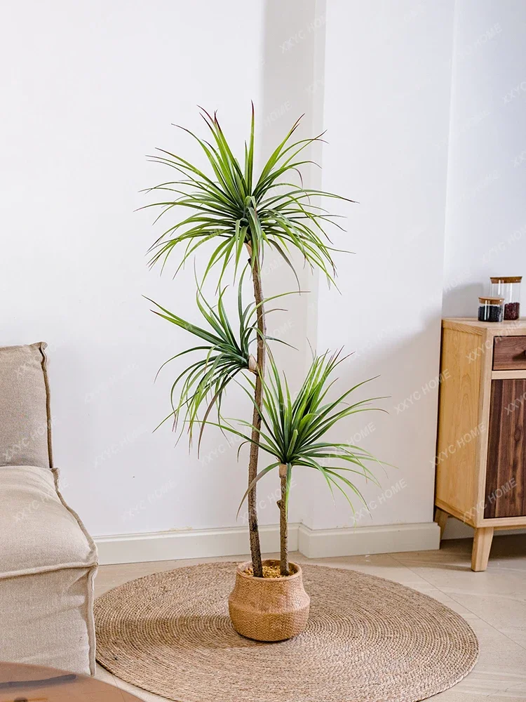 Light Luxury Simulation Green  – Dracaena Marginata Bewertung und Preis