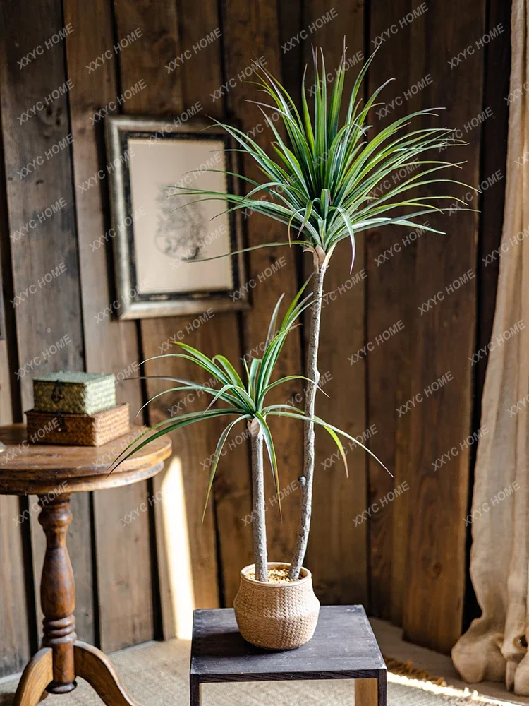 Light Luxury Simulation Green  – Dracaena Marginata Bewertung und Preis