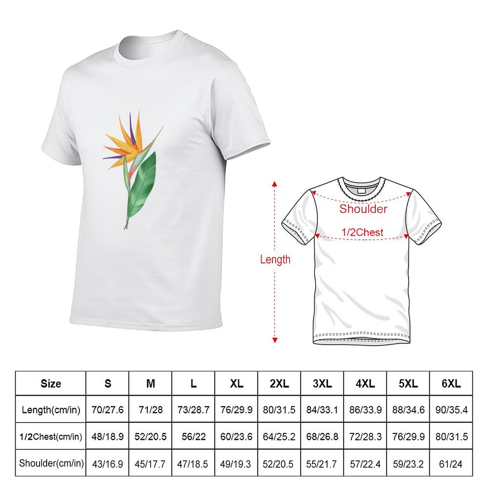Watercolor bird of paradise fl – Bird Paradise Strelitzia Bewertung und Preis