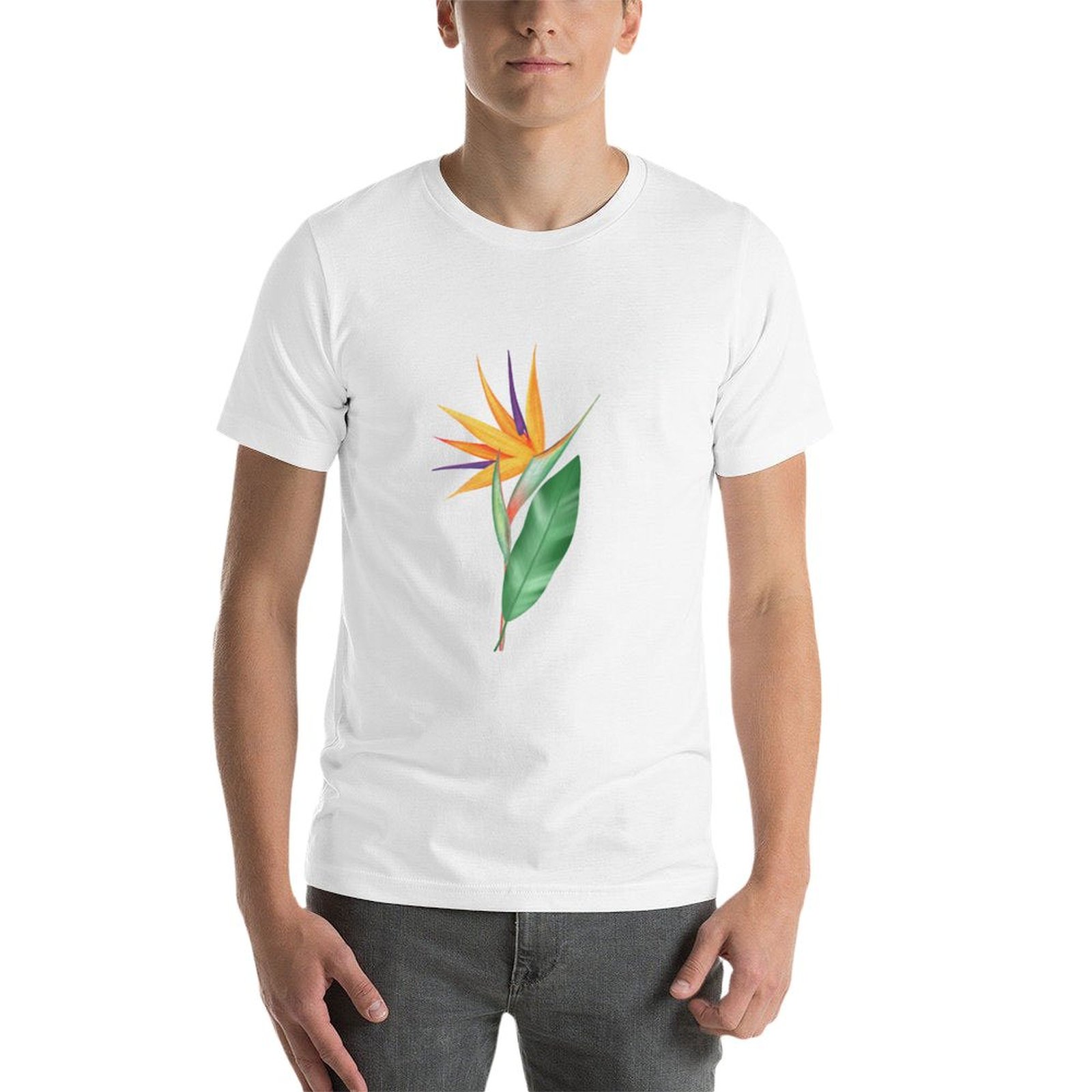 Watercolor bird of paradise fl – Bird Paradise Strelitzia Bewertung und Preis