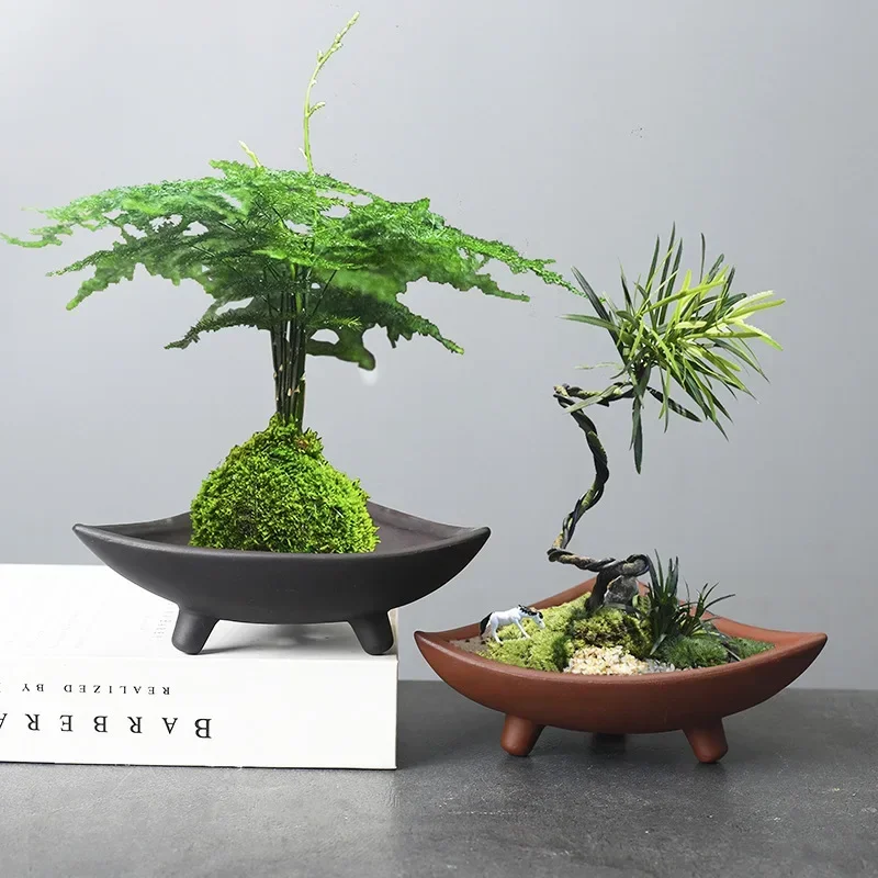 Personalized Ceramic Flower Po – Pilea Peperomioides Bewertung und Preis