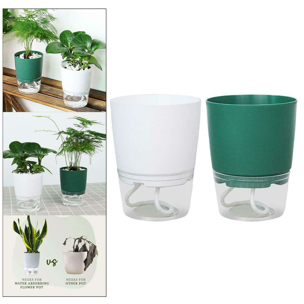 Lazy Hydroponic Flower Pot Aut – Aloe Vera Pot Bewertung und Preis