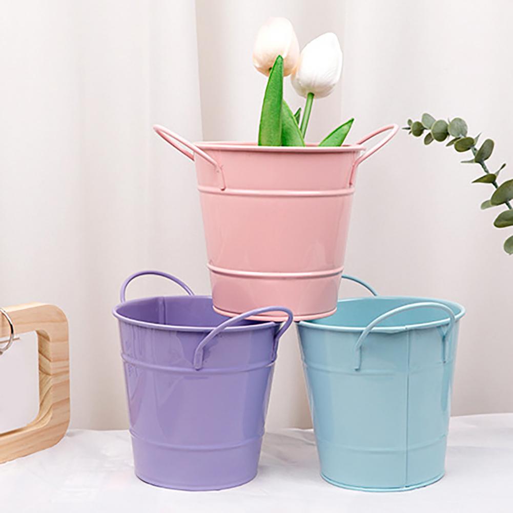 Flowerpot Candy Colored Iron F – Pilea Peperomioides Bewertung und Preis