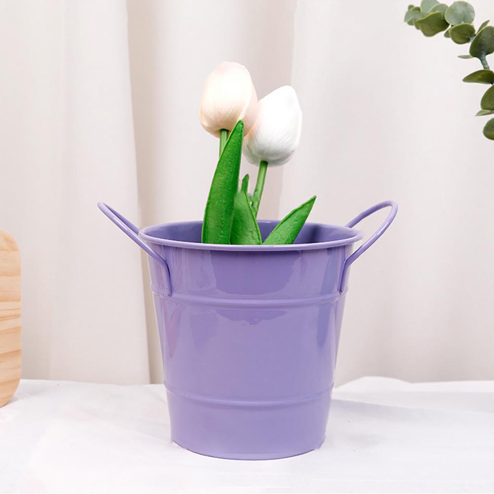 Flowerpot Candy Colored Iron F – Pilea Peperomioides Bewertung und Preis