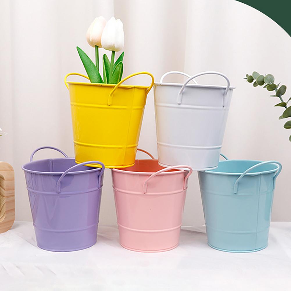 Flowerpot Candy Colored Iron F – Pilea Peperomioides Bewertung und Preis