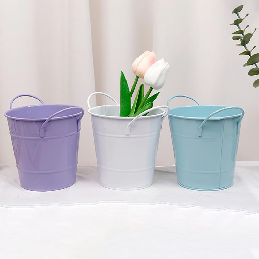 Flowerpot Candy Colored Iron F – Pilea Peperomioides Bewertung und Preis