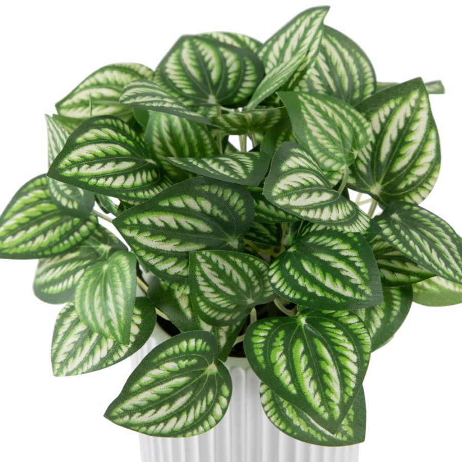 Artificial Watermelon Peperomi – Peperomia Watermelon Bewertung und Preis