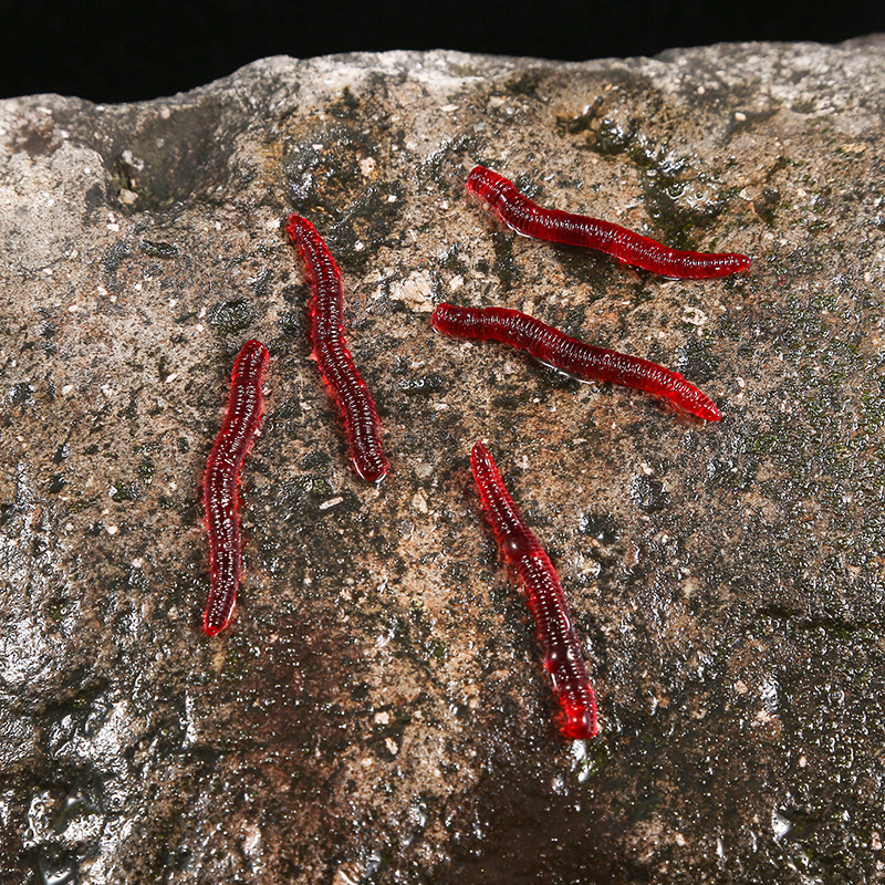 CIBO 50pcs-Artificial Red Worm – Aglaonema Red Bewertung und Preis